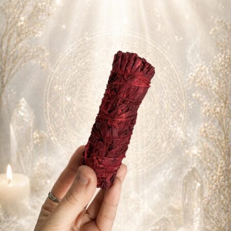 ATADO DE SALVIA BLANCA CON SANGRE DE DRAGÓN | PODER Y PROTECCIÓN